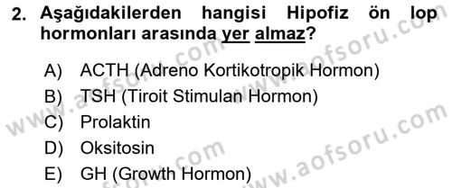 Bakım Elemanı Yetiştirme Ve Geliştirme 2 Dersi 2023 - 2024 Yılı Yaz Okulu Sınav Soruları 2. Soru