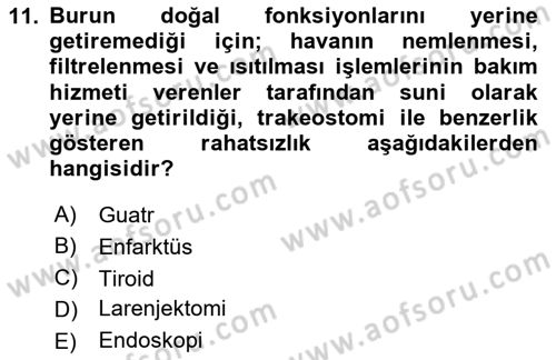 Bakım Elemanı Yetiştirme Ve Geliştirme 2 Dersi 2024 - 2025 Yılı (Vize) Ara Sınav Soruları 11. Soru