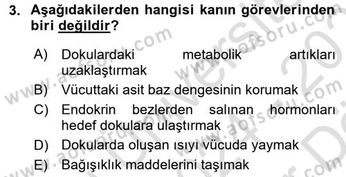 Bakım Elemanı Yetiştirme Ve Geliştirme 2 Dersi 2024 - 2025 Yılı (Vize) Ara Sınav Soruları 3. Soru