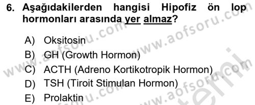 Bakım Elemanı Yetiştirme Ve Geliştirme 2 Dersi 2024 - 2025 Yılı (Vize) Ara Sınav Soruları 6. Soru