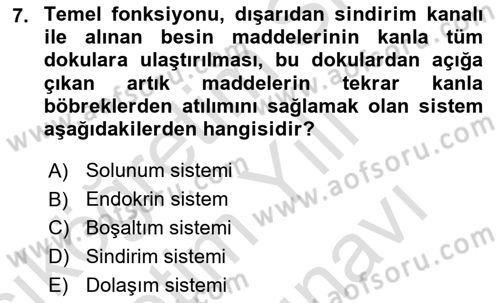 Bakım Elemanı Yetiştirme Ve Geliştirme 2 Dersi 2024 - 2025 Yılı (Vize) Ara Sınav Soruları 7. Soru