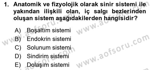 Bakım Elemanı Yetiştirme Ve Geliştirme 2 Dersi 2024 - 2025 Yılı (Final) Dönem Sonu Sınav Soruları 1. Soru