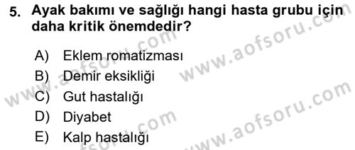Bakım Elemanı Yetiştirme Ve Geliştirme 2 Dersi 2024 - 2025 Yılı (Final) Dönem Sonu Sınav Soruları 5. Soru