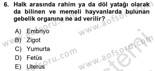 Bakım Elemanı Yetiştirme Ve Geliştirme 2 Dersi 2024 - 2025 Yılı (Final) Dönem Sonu Sınav Soruları 6. Soru