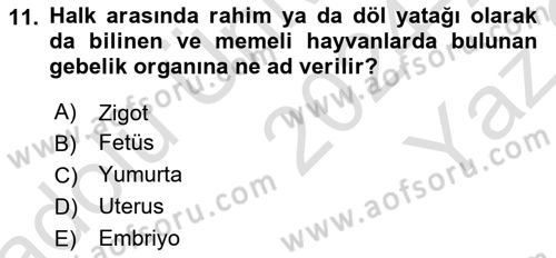 Bakım Elemanı Yetiştirme Ve Geliştirme 2 Dersi 2024 - 2025 Yılı Yaz Okulu Sınav Soruları 11. Soru