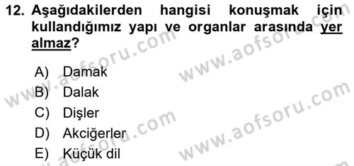 Bakım Elemanı Yetiştirme Ve Geliştirme 2 Dersi 2024 - 2025 Yılı Yaz Okulu Sınav Soruları 12. Soru