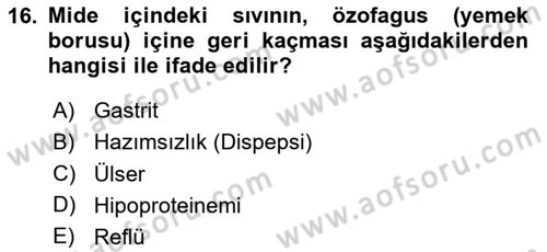Bakım Elemanı Yetiştirme Ve Geliştirme 2 Dersi 2024 - 2025 Yılı Yaz Okulu Sınav Soruları 16. Soru