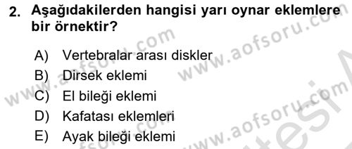 Bakım Elemanı Yetiştirme Ve Geliştirme 2 Dersi 2024 - 2025 Yılı Yaz Okulu Sınav Soruları 2. Soru