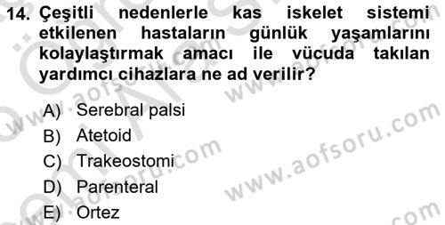 Bakım Elemanı Yetiştirme Ve Geliştirme 2 Dersi 2025 - 2026 Yılı (Vize) Ara Sınav Soruları 14. Soru