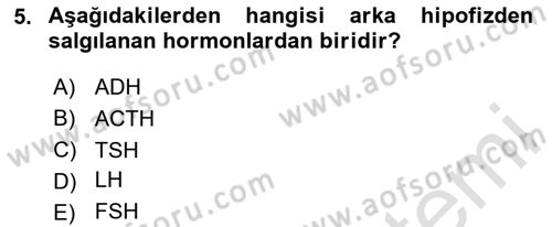Bakım Elemanı Yetiştirme Ve Geliştirme 2 Dersi 2025 - 2026 Yılı (Vize) Ara Sınav Soruları 5. Soru