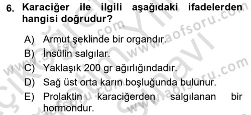 Bakım Elemanı Yetiştirme Ve Geliştirme 2 Dersi 2025 - 2026 Yılı (Vize) Ara Sınav Soruları 6. Soru