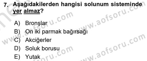 Bakım Elemanı Yetiştirme Ve Geliştirme 2 Dersi 2025 - 2026 Yılı (Vize) Ara Sınav Soruları 7. Soru