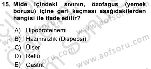 Bakım Elemanı Yetiştirme Ve Geliştirme 2 Dersi 2025 - 2026 Yılı (Final) Dönem Sonu Sınav Soruları 15. Soru