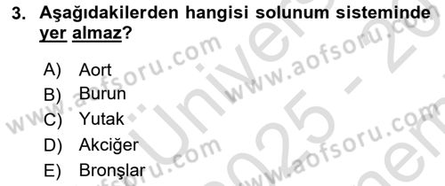 Bakım Elemanı Yetiştirme Ve Geliştirme 2 Dersi 2025 - 2026 Yılı (Final) Dönem Sonu Sınav Soruları 3. Soru