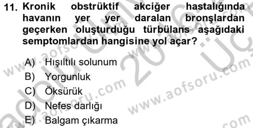 Yaşlılarda Görülebilecek Sorunlar Ve Bakım Hizmetleri Dersi 2016 - 2017 Yılı 3 Ders Sınavı 11. Soru