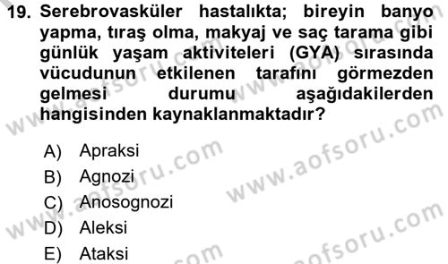 Yaşlılarda Görülebilecek Sorunlar Ve Bakım Hizmetleri Dersi 2016 - 2017 Yılı 3 Ders Sınav Soruları 19. Soru