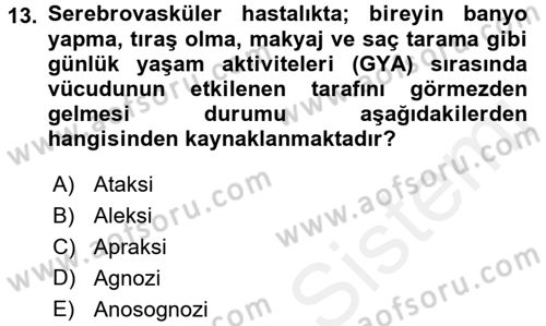 Yaşlılarda Görülebilecek Sorunlar Ve Bakım Hizmetleri Dersi 2016 - 2017 Yılı (Final) Dönem Sonu Sınav Soruları 13. Soru