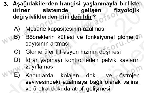 Yaşlılarda Görülebilecek Sorunlar Ve Bakım Hizmetleri Dersi 2016 - 2017 Yılı (Final) Dönem Sonu Sınav Soruları 3. Soru