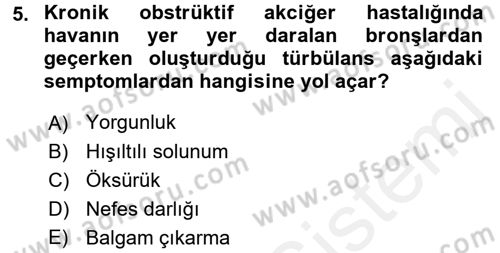 Yaşlılarda Görülebilecek Sorunlar Ve Bakım Hizmetleri Dersi 2016 - 2017 Yılı (Final) Dönem Sonu Sınav Soruları 5. Soru