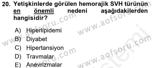 Yaşlılarda Görülebilecek Sorunlar Ve Bakım Hizmetleri Dersi 2017 - 2018 Yılı 3 Ders Sınav Soruları 20. Soru