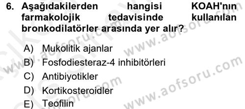 Yaşlılarda Görülebilecek Sorunlar Ve Bakım Hizmetleri Dersi 2017 - 2018 Yılı 3 Ders Sınav Soruları 6. Soru
