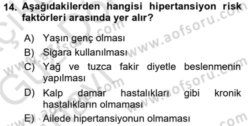 Yaşlılarda Görülebilecek Sorunlar Ve Bakım Hizmetleri Dersi 2017 - 2018 Yılı (Vize) Ara Sınav Soruları 14. Soru