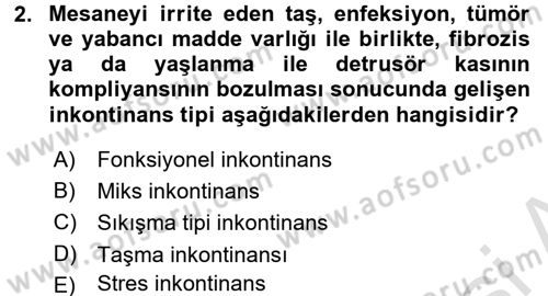 Yaşlılarda Görülebilecek Sorunlar Ve Bakım Hizmetleri Dersi 2017 - 2018 Yılı (Vize) Ara Sınav Soruları 2. Soru
