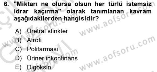 Yaşlılarda Görülebilecek Sorunlar Ve Bakım Hizmetleri Dersi 2017 - 2018 Yılı (Vize) Ara Sınav Soruları 6. Soru