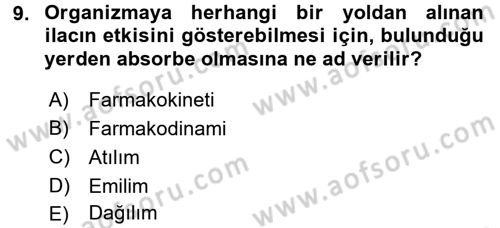 Yaşlılarda Görülebilecek Sorunlar Ve Bakım Hizmetleri Dersi 2017 - 2018 Yılı (Vize) Ara Sınav Soruları 9. Soru