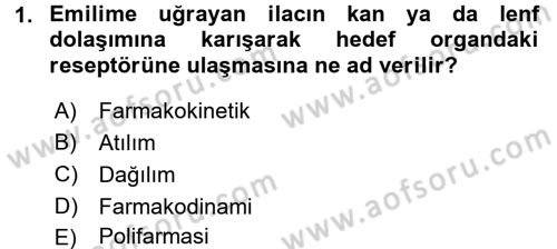 Yaşlılarda Görülebilecek Sorunlar Ve Bakım Hizmetleri Dersi 2017 - 2018 Yılı (Final) Dönem Sonu Sınav Soruları 1. Soru