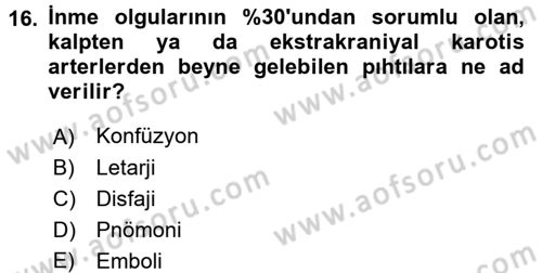 Yaşlılarda Görülebilecek Sorunlar Ve Bakım Hizmetleri Dersi 2017 - 2018 Yılı (Final) Dönem Sonu Sınavı 16. Soru