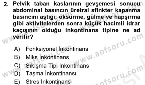 Yaşlılarda Görülebilecek Sorunlar Ve Bakım Hizmetleri Dersi 2017 - 2018 Yılı (Final) Dönem Sonu Sınav Soruları 2. Soru