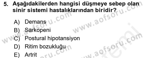 Yaşlılarda Görülebilecek Sorunlar Ve Bakım Hizmetleri Dersi 2017 - 2018 Yılı (Final) Dönem Sonu Sınav Soruları 5. Soru