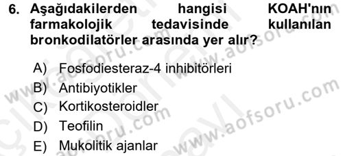 Yaşlılarda Görülebilecek Sorunlar Ve Bakım Hizmetleri Dersi 2017 - 2018 Yılı (Final) Dönem Sonu Sınav Soruları 6. Soru