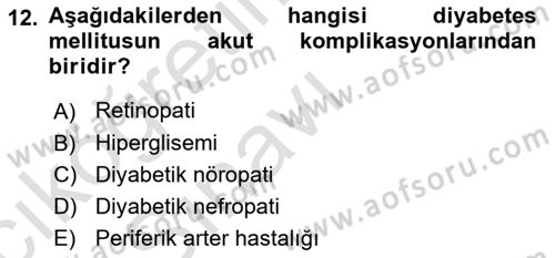 Yaşlılarda Görülebilecek Sorunlar Ve Bakım Hizmetleri Dersi 2018 - 2019 Yılı 3 Ders Sınav Soruları 12. Soru
