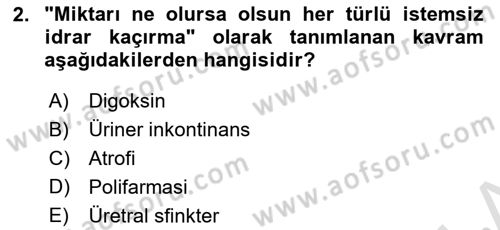 Yaşlılarda Görülebilecek Sorunlar Ve Bakım Hizmetleri Dersi 2018 - 2019 Yılı 3 Ders Sınav Soruları 2. Soru