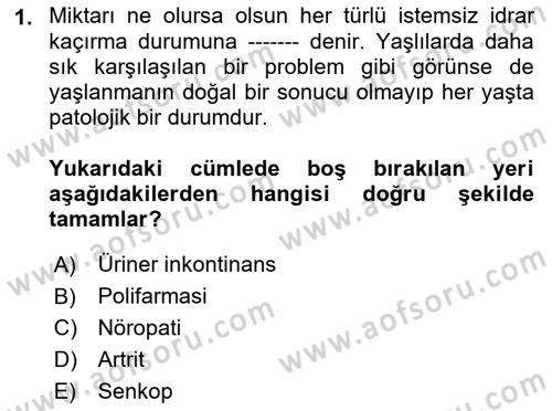 Yaşlılarda Görülebilecek Sorunlar Ve Bakım Hizmetleri Dersi 2018 - 2019 Yılı (Vize) Ara Sınav Soruları 1. Soru