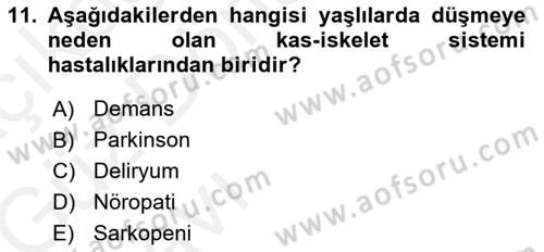 Yaşlılarda Görülebilecek Sorunlar Ve Bakım Hizmetleri Dersi 2018 - 2019 Yılı (Vize) Ara Sınav Soruları 11. Soru