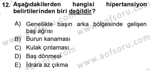 Yaşlılarda Görülebilecek Sorunlar Ve Bakım Hizmetleri Dersi 2018 - 2019 Yılı (Vize) Ara Sınav Soruları 12. Soru