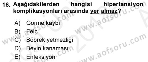 Yaşlılarda Görülebilecek Sorunlar Ve Bakım Hizmetleri Dersi 2018 - 2019 Yılı (Vize) Ara Sınav Soruları 16. Soru