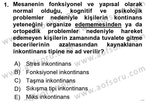Yaşlılarda Görülebilecek Sorunlar Ve Bakım Hizmetleri Dersi 2018 - 2019 Yılı (Final) Dönem Sonu Sınav Soruları 1. Soru