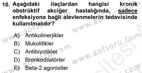 Yaşlılarda Görülebilecek Sorunlar Ve Bakım Hizmetleri Dersi 2018 - 2019 Yılı (Final) Dönem Sonu Sınav Soruları 10. Soru