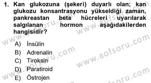 Yaşlılarda Görülebilecek Sorunlar Ve Bakım Hizmetleri Dersi 2018 - 2019 Yılı Yaz Okulu Sınav Soruları 1. Soru