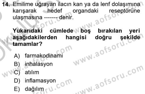 Yaşlılarda Görülebilecek Sorunlar Ve Bakım Hizmetleri Dersi 2018 - 2019 Yılı Yaz Okulu Sınav Soruları 14. Soru