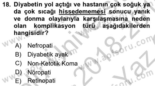 Yaşlılarda Görülebilecek Sorunlar Ve Bakım Hizmetleri Dersi 2018 - 2019 Yılı Yaz Okulu Sınav Soruları 18. Soru
