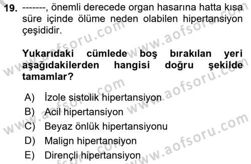 Yaşlılarda Görülebilecek Sorunlar Ve Bakım Hizmetleri Dersi 2018 - 2019 Yılı Yaz Okulu Sınav Soruları 19. Soru