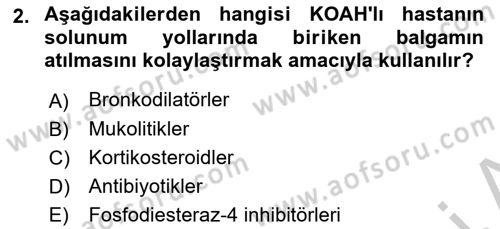 Yaşlılarda Görülebilecek Sorunlar Ve Bakım Hizmetleri Dersi 2018 - 2019 Yılı Yaz Okulu Sınav Soruları 2. Soru