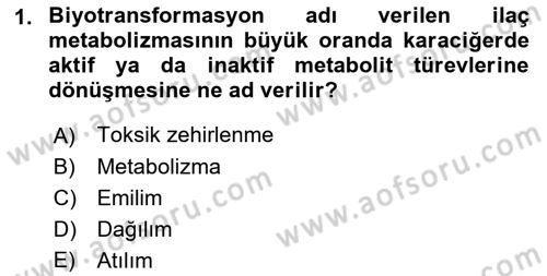Yaşlılarda Görülebilecek Sorunlar Ve Bakım Hizmetleri Dersi 2021 - 2022 Yılı (Final) Dönem Sonu Sınav Soruları 1. Soru