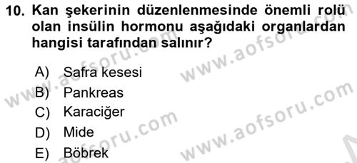Yaşlılarda Görülebilecek Sorunlar Ve Bakım Hizmetleri Dersi 2021 - 2022 Yılı (Final) Dönem Sonu Sınav Soruları 10. Soru