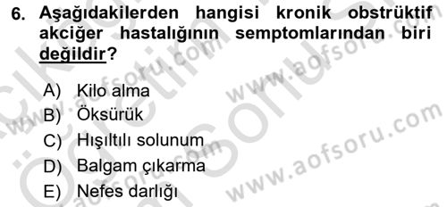 Yaşlılarda Görülebilecek Sorunlar Ve Bakım Hizmetleri Dersi 2021 - 2022 Yılı (Final) Dönem Sonu Sınav Soruları 6. Soru